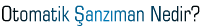 Otomatik �anz�man Nedir?